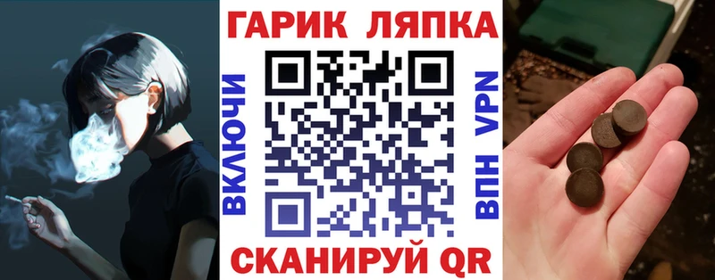 ГАШ Изолятор  Чапаевск 