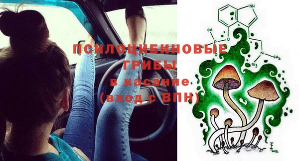 трава Краснослободск