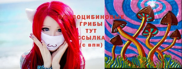 трава Краснослободск