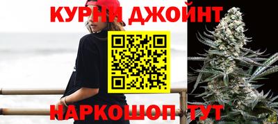гидра Ставрополь