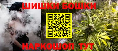 гидра Ставрополь