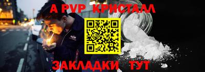 гидра Ставрополь