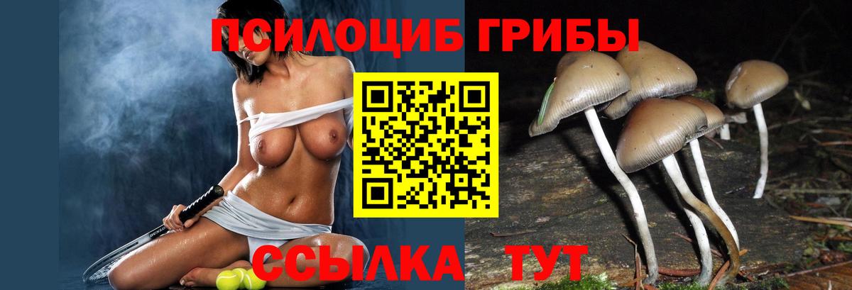 Чапаевск  даркнет сайт  Вход с VPN  Галлюциногенные грибы MAGIC MUSHROOMS 