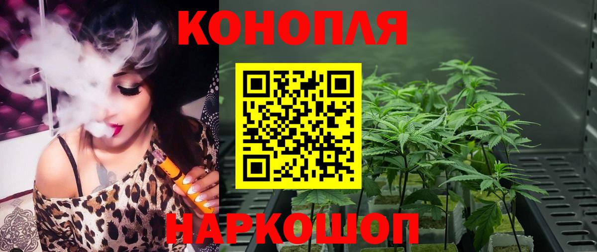 Бошки Шишки Amnesia Чапаевск